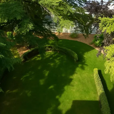 Reves De Canopee * Le Loroux-Bottereau