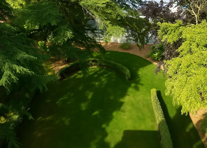 Reves De Canopee * Le Loroux-Bottereau